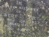image of grave number 797261
